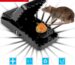 mouse killer trap bd